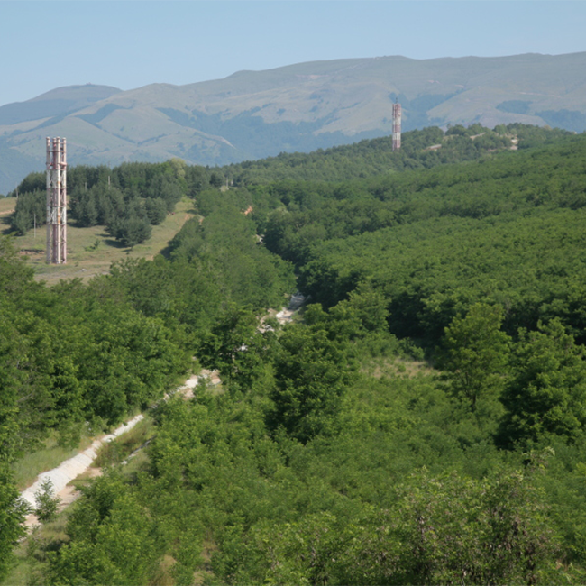 Forested areas of Benkovski-1 tailings dump.