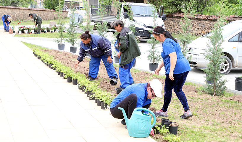 Участници в инициативата Нашето зелено утре засаждащи растения