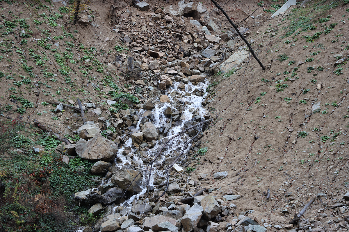 Речен горски приток